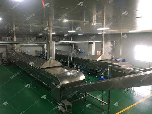 自动化土豆粉条加工设备厂家预约参观使越来越多红薯等薯类种植区