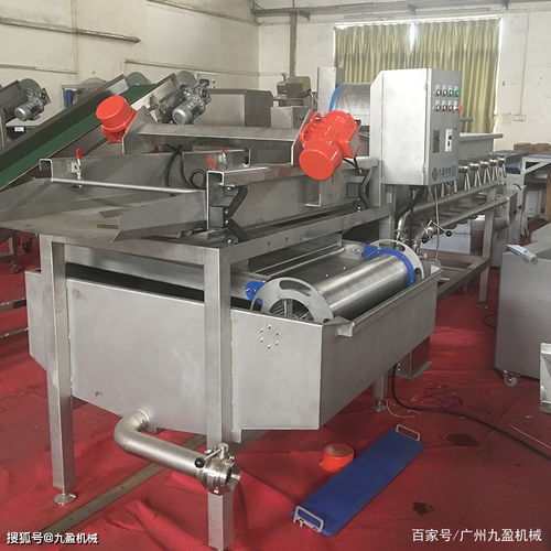 净菜加工流水线设备供应商